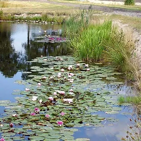 Milosz Grabowiec (Kuyavian-Pomeranian)