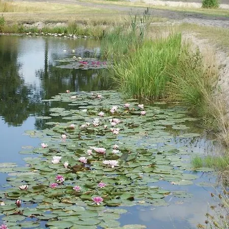 Miłosz Grabowiec (Kuyavian-Pomeranian)