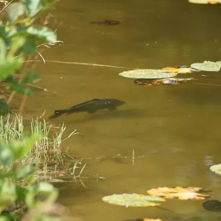 Miłosz Hostel Grabowiec (Kuyavian-Pomeranian)
