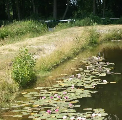 Hostel Milosz Grabowiec (Kuyavian-Pomeranian)