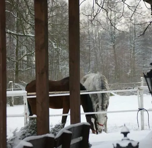 Milosz * Grabowiec (Kuyavian-Pomeranian)